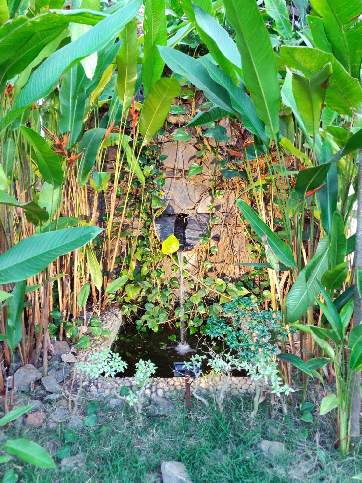 Rock Forest Goa Honeymoon Cottages カラングート エクステリア 写真