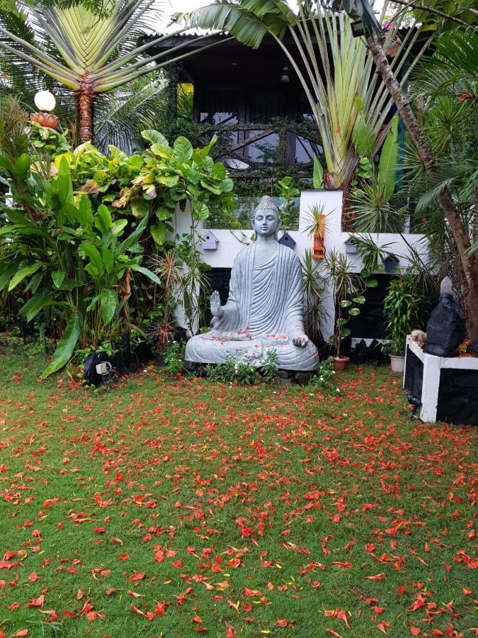 Rock Forest Goa Honeymoon Cottages カラングート エクステリア 写真